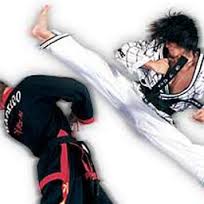 Hapkido er en koreansk kampform som ble utviklet på begynnelsen av 1900-tallet. “Hap” har med harmoni og koordinasjon å gjøre,...